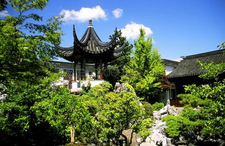 сад в китайском стиле