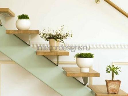 комнатные растения на лестнице