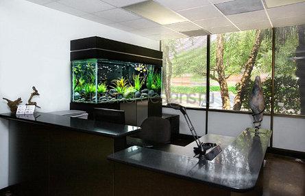 установка офисного аквариума