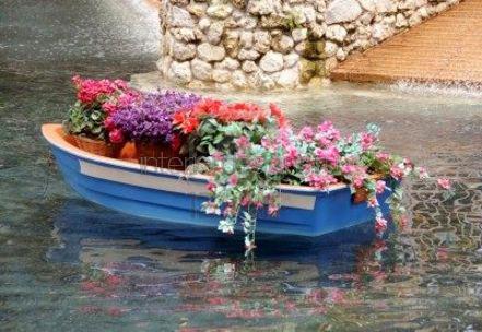 горшки с цветами в лодке