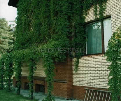 вертикальное озеленение фасада