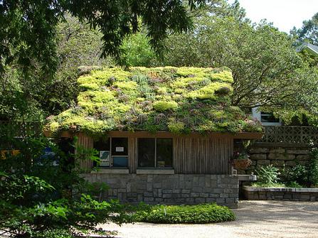 озеленение крыши дома