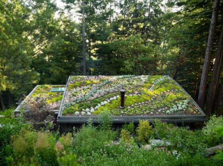 озеленение крыши частного дома