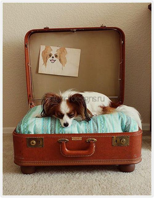 Лежанка для собаки из чемодана