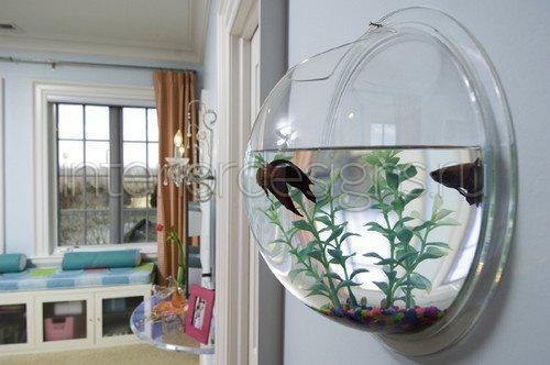 Для чего нужен аквариум в доме?